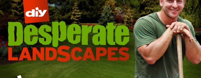 America’s Most Desperate Landscape - DIY